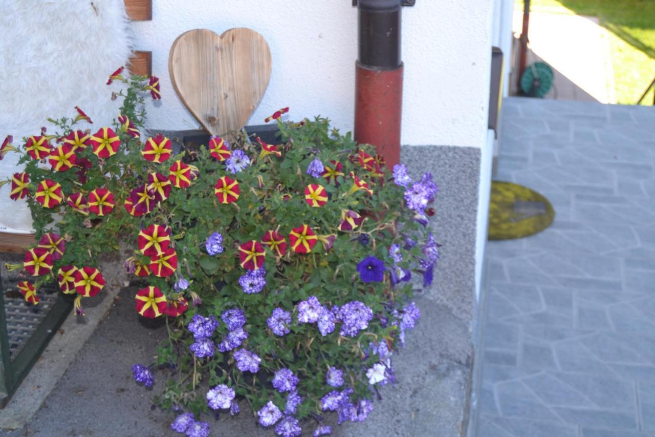 Appartement Ewald Siller Neustift im Stubaital Kültér fotó
